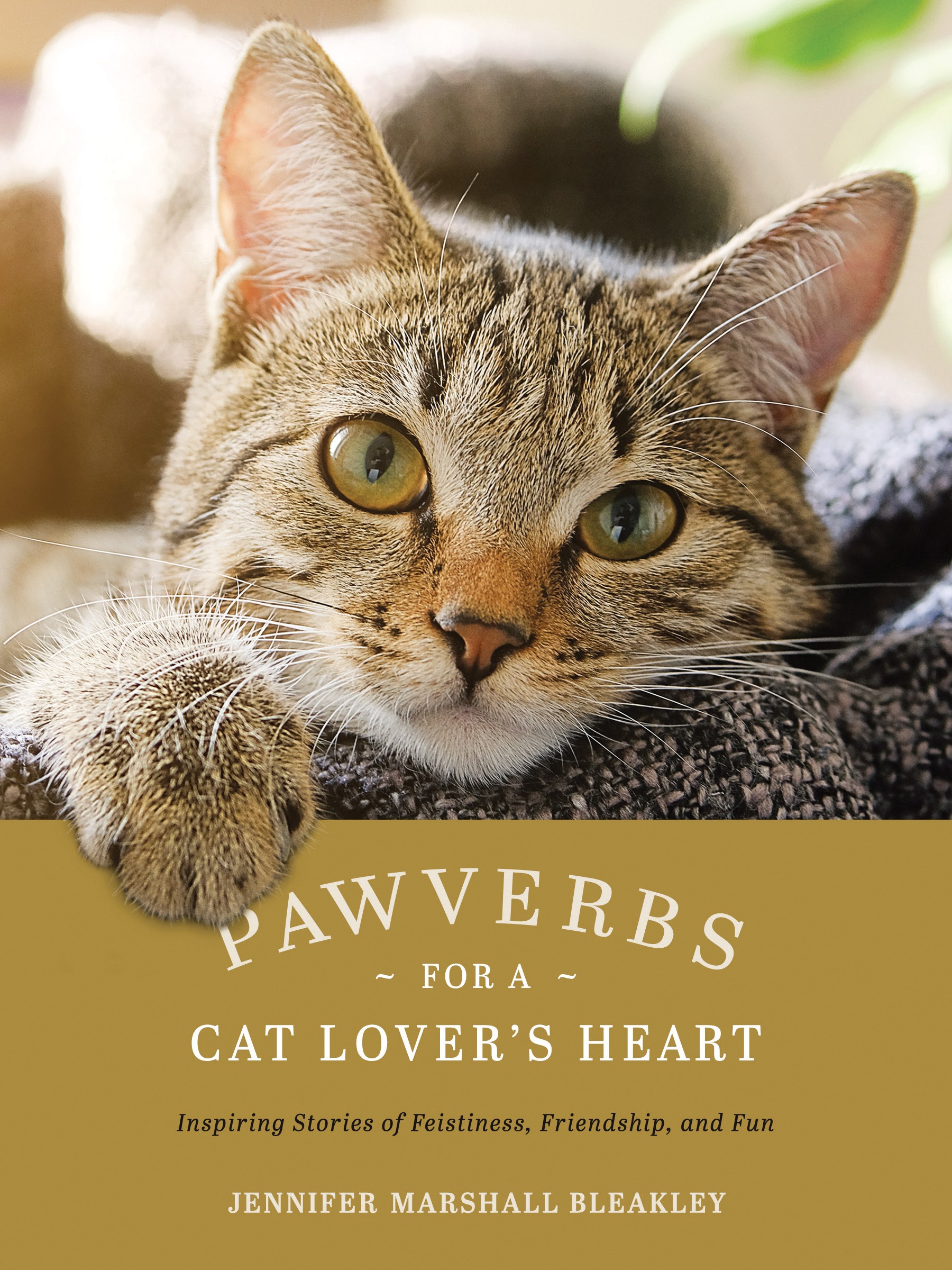  Pawverbs for a Cat Lover's Heart - 9781496460271 - Bleakley, Jennifer Marshall