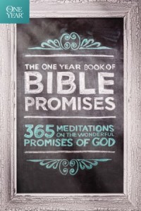. 365 Meditations on the Wonderful Promises of God -  - Bell, James Stuart