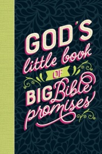  God's Little Book of Big Bible Promises -  - Butler, Katherine J.