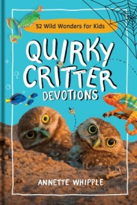  Quirky Critter Devotions -  - Whipple, Annette