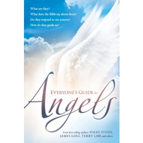 Everyones Guide to Angels