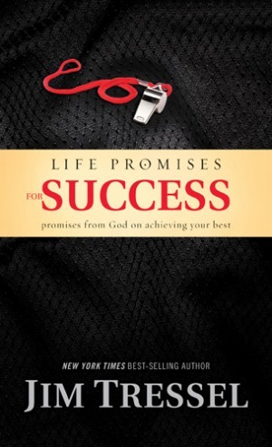 Life Promises for Success. Promises from God on Achieving Your Best
