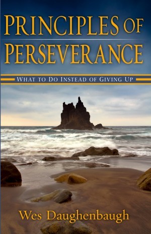 Principles Of Perserverance
