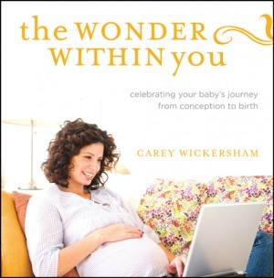 . Celebrating Your Babys Journey from Conception to Birth