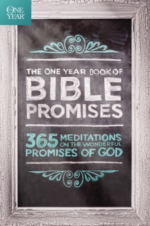 . 365 Meditations on the Wonderful Promises of God