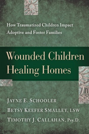  Wounded Children, Healing Homes