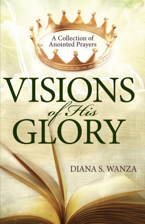 Visions of His Glory