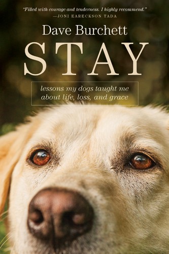 Stay. Lessons My Dogs Taught Me about Life, Loss, and Grace